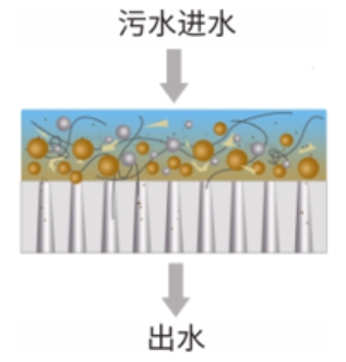 九州酷游(酷游·ku游)官方网站