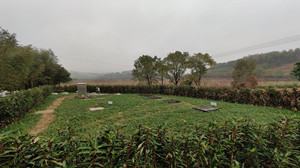 ¾ÅÖÝ¿áÓÎ(¿áÓΡ¤kuÓÎ)¹Ù·½ÍøÕ¾