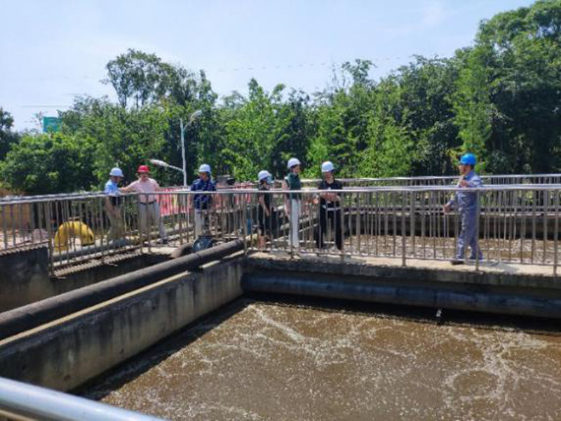 20200610-41.jpg 20200610-41.jpg