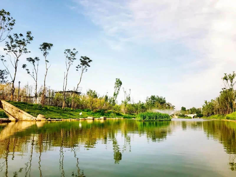 20200707-21.jpg 20200707-21.jpg