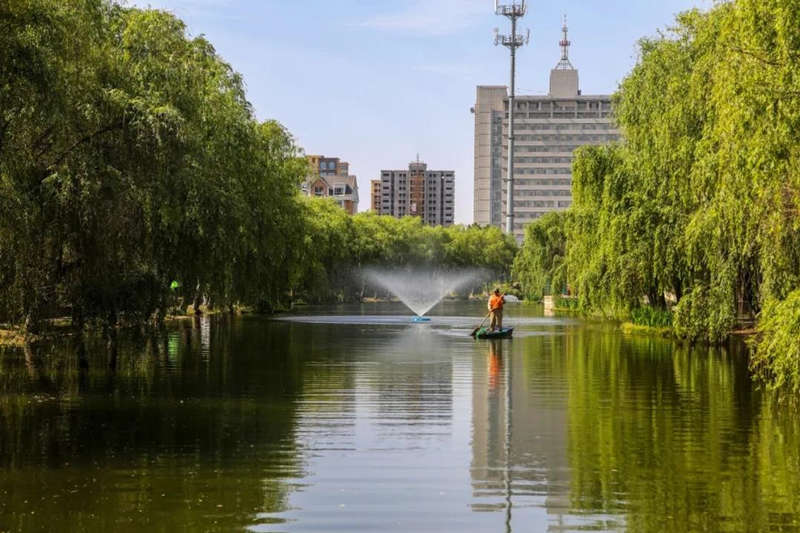 20200707-31.jpg 20200707-31.jpg